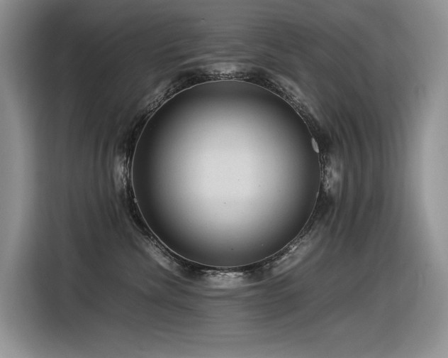 X0000116370476200912021157