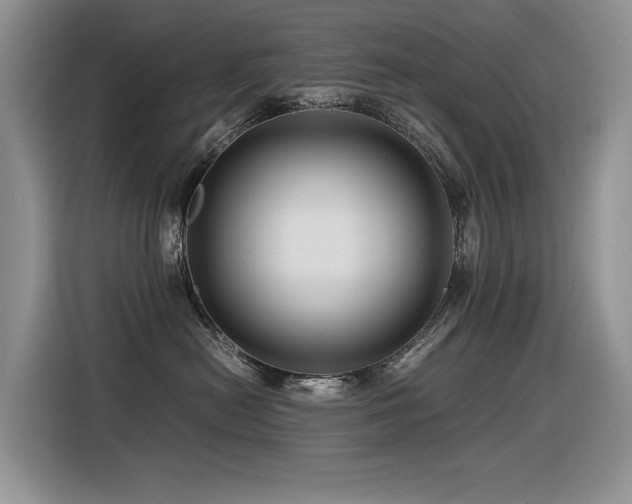 X0000116370478200912021157