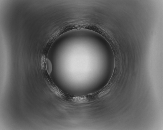 X0000116370480200912021157