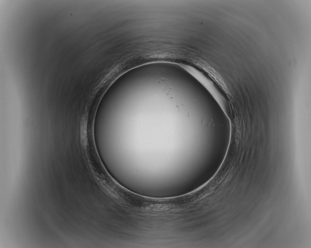 X0000116370482200912021156