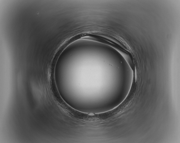 X0000116370483200912021156
