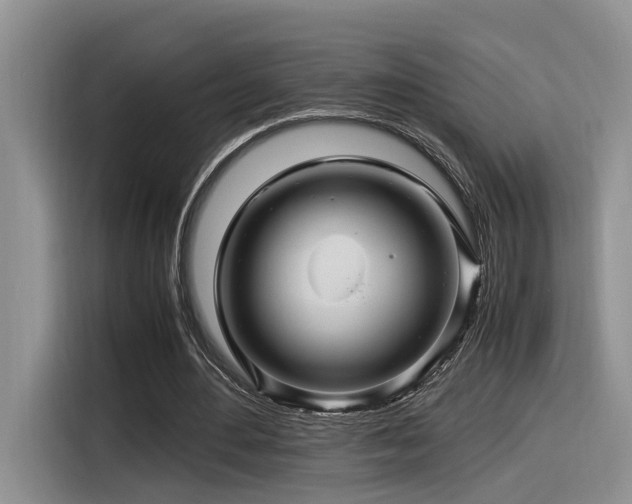 X0000116370484200912021156