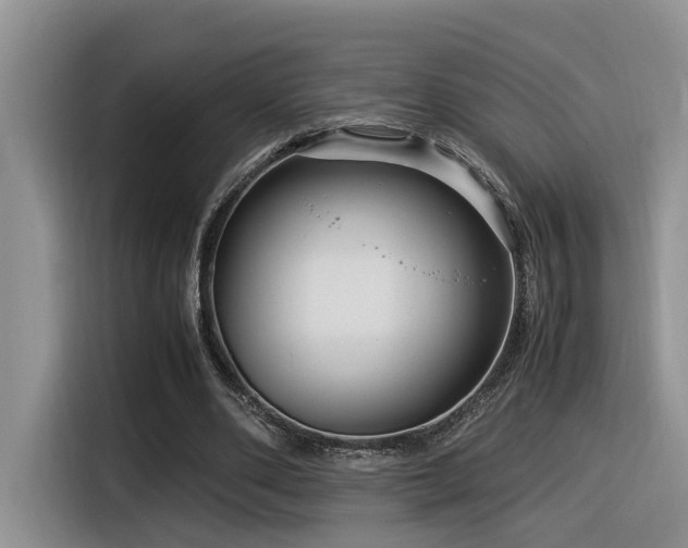 X0000116370486200912021156
