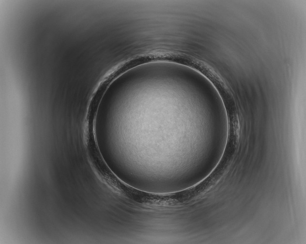 X0000116370488200912021156