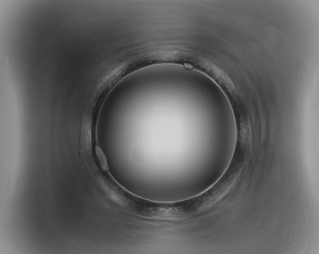X0000116370493200912021156