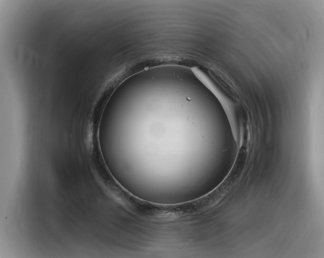 X0000116370494200912021156