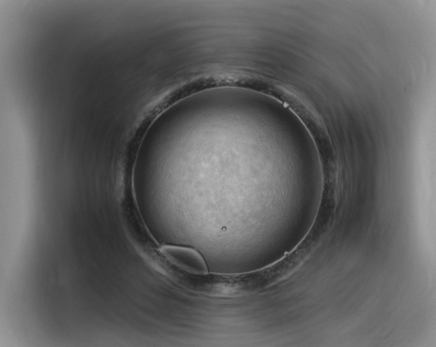 X0000116370496200912021156