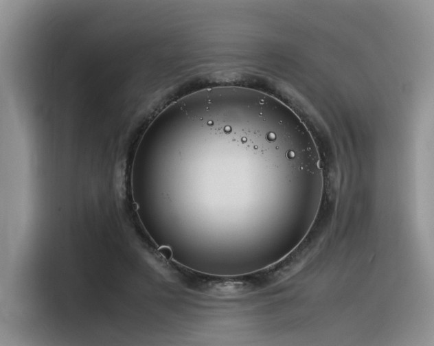 X0000116370497200912021156