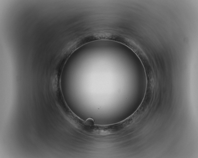 X0000116370498200912021156