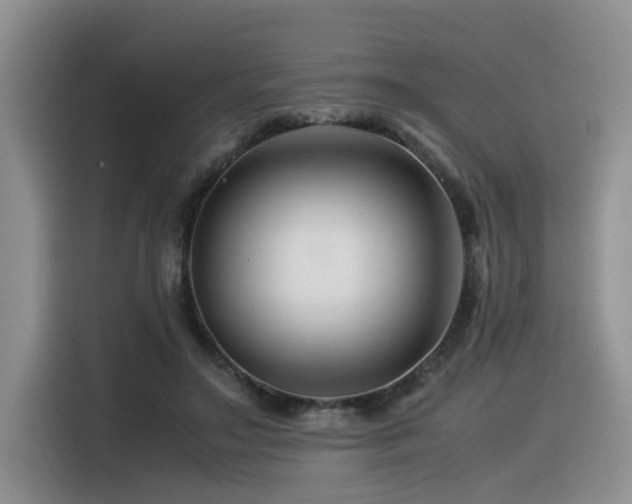 X0000116370499200912021156