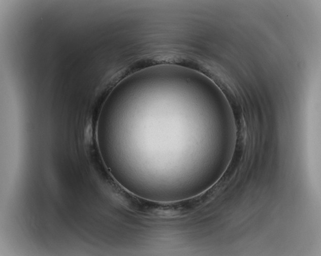 X0000116370502200912021156
