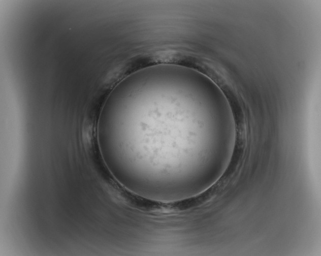 X0000116370503200912021156
