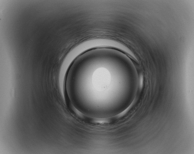 X0000116370504200912021156