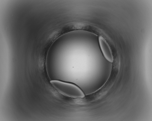 X0000116370505200912021156