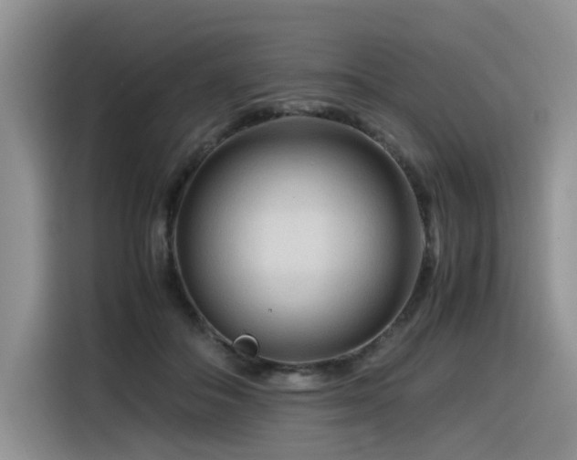 X0000116370506200912021156