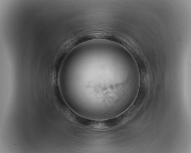 X0000116370507200912021156