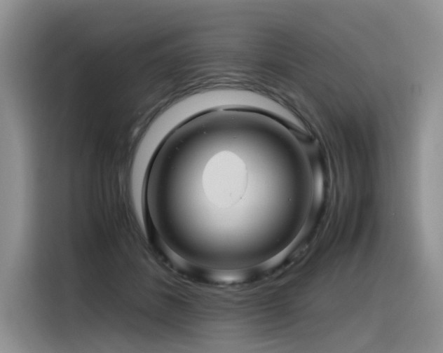 X0000116370508200912021156
