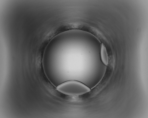 X0000116370509200912021156