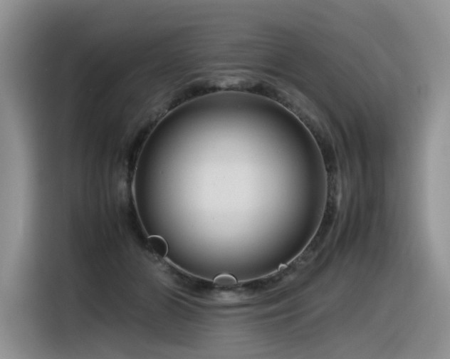 X0000116370510200912021156