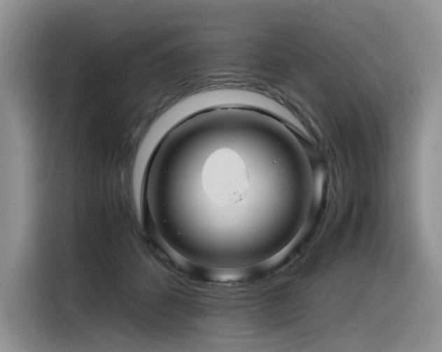 X0000116370512200912021156