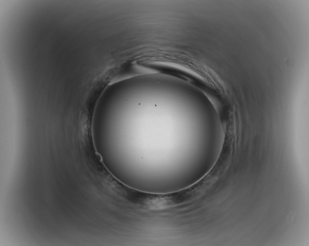 X0000116370513200912021156