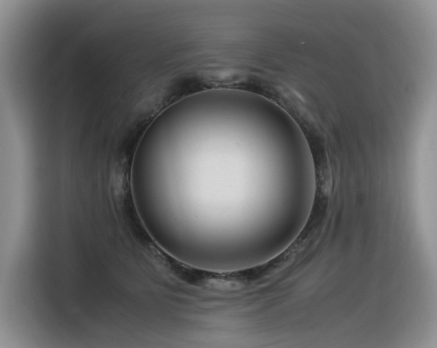 X0000116370515200912021156