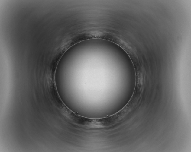 X0000116370518200912021156