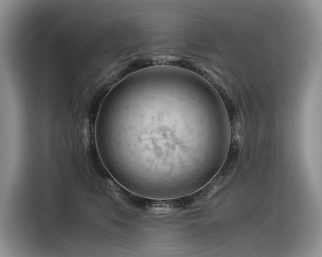 X0000116370519200912021156