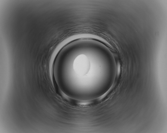 X0000116370520200912021156