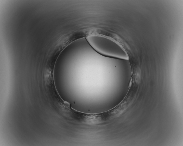 X0000116370521200912021156