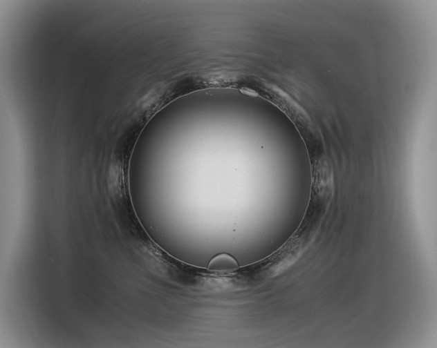 X0000116370523200912021156