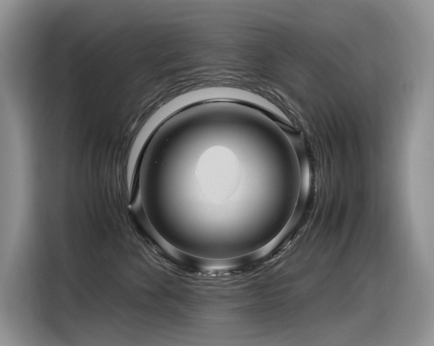 X0000116370524200912021156