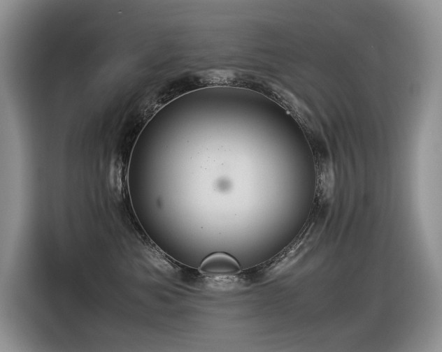 X0000116370525200912021156