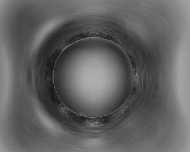 X0000116370526200912021156