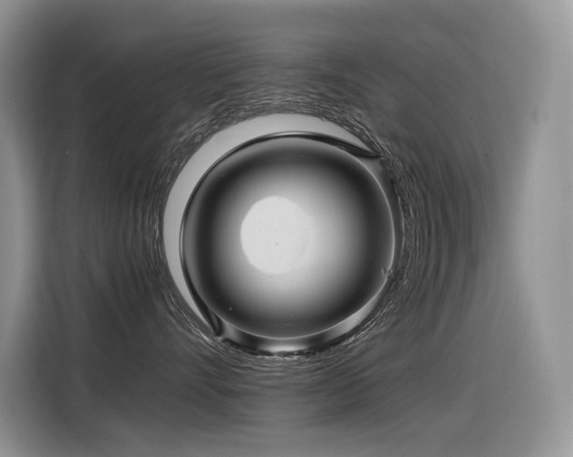 X0000116370528200912021156