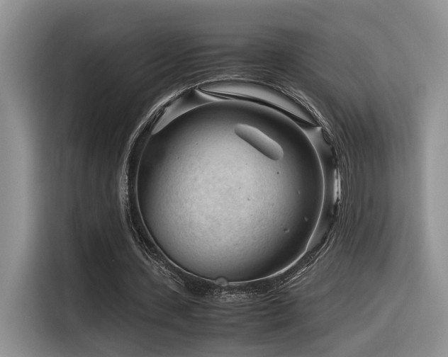X0000116370531200912021155