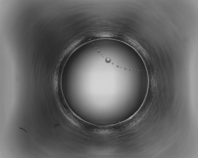 X0000116370533200912021155