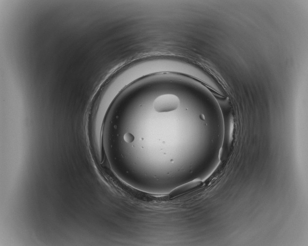 X0000116370534200912021155