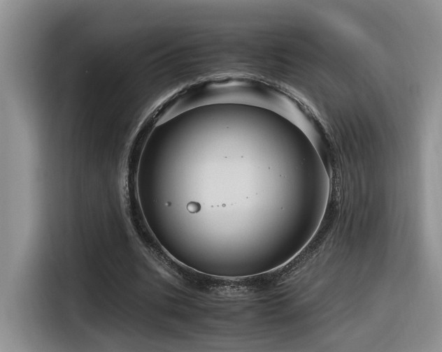 X0000116370535200912021155
