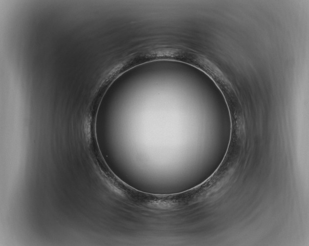 X0000116370537200912021155