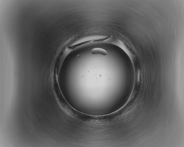 X0000116370538200912021155