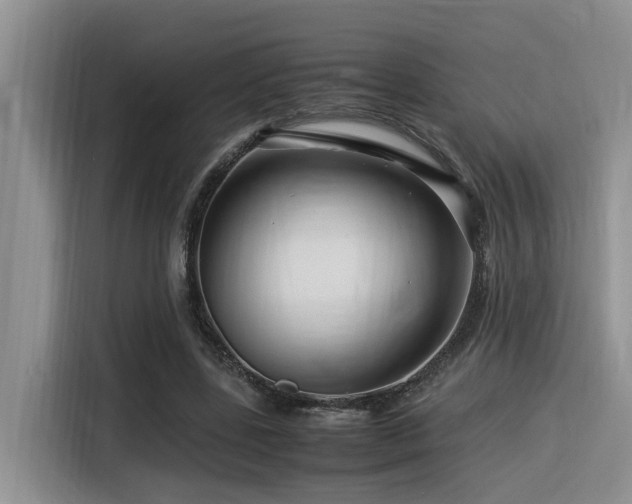 X0000116370539200912021155