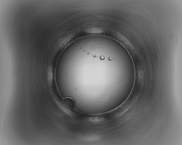 X0000116370541200912021155