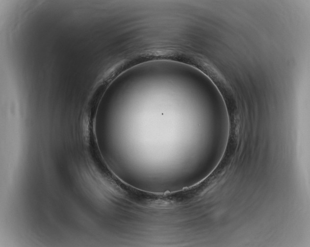 X0000116370542200912021155