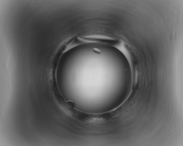 X0000116370543200912021155