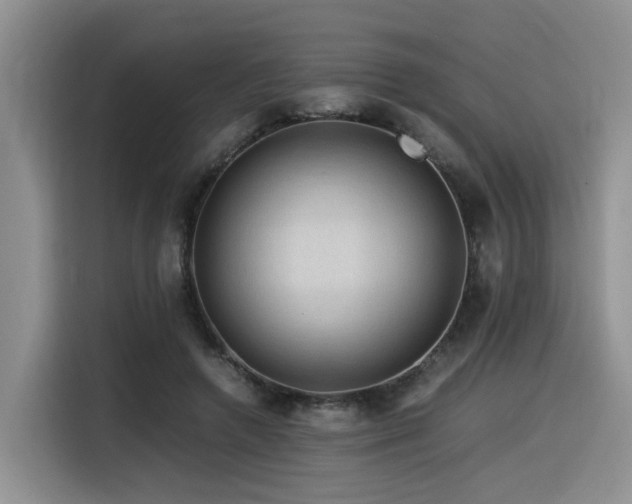 X0000116370546200912021155