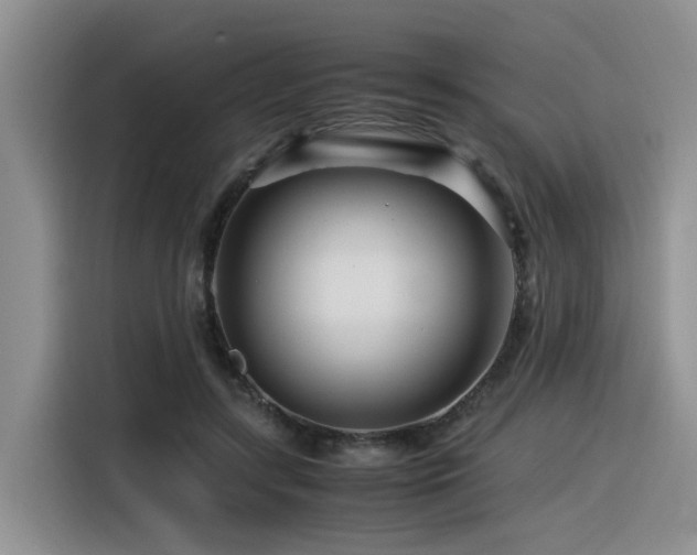 X0000116370547200912021155