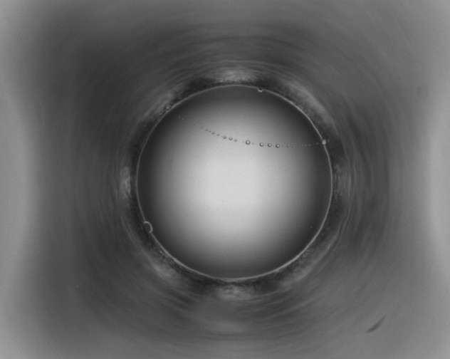 X0000116370549200912021155
