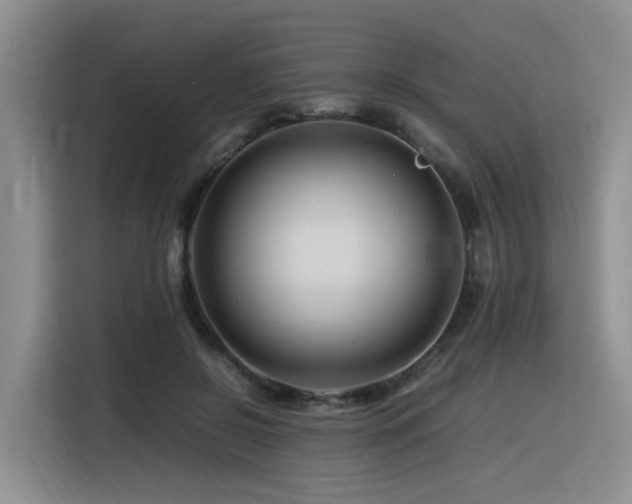 X0000116370550200912021155