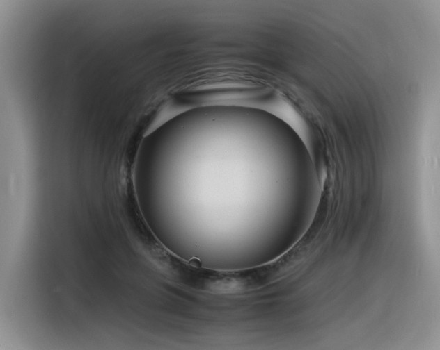X0000116370551200912021155